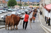 Feiras Francas com acesso grátis aos artesãos